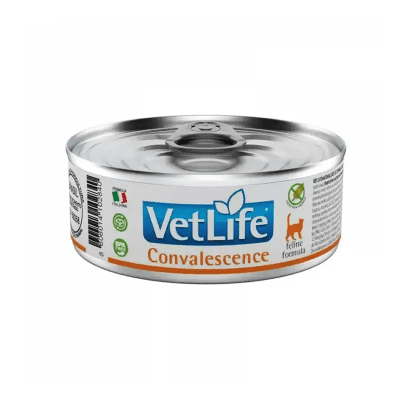 LATA VETLIFE CAT CONVALESCENCE 85GR