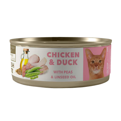 LATA AMITY CAT CHICKEN DUCK