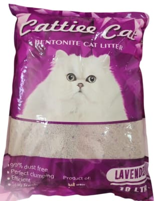 ARENA SANITARIA CAT LITTER 20KG
