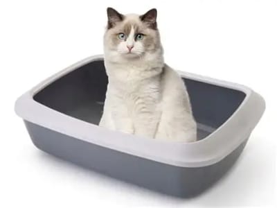 ARENERO ABIERTO IRIZ 50 COLD GREY