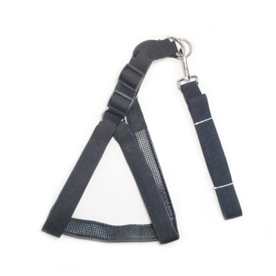 HARNES+ LEASH LOVE PETS DOG ACOLCHADO 4CM