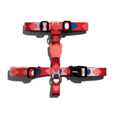 ARNES ZEEDOG SAME LARGE