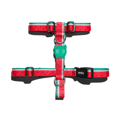 ARNES ZEEDOG LOLA H SMALL