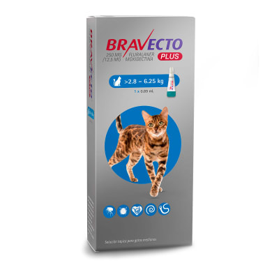 BRAVECTO PLUS GATO 2.8-6.5KG 3MESES