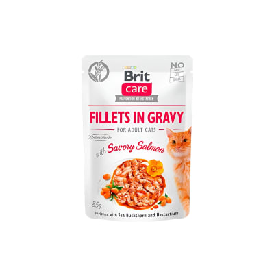 SACHET BRIT CARE CAT FILLETS IN GRAVY WITH SAVORY SALMON 85GR1