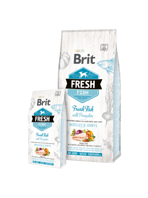 BRIT FRESH FISH WITH PUMPKIN ADULT LARGE 2,5 Y 12KG