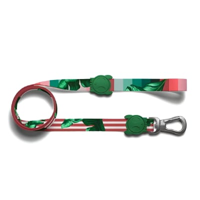 CORREA ZEEDOG BALI LARGE1