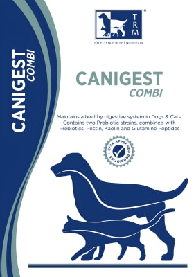 CANIGEST COMBI PASTA 16 ML