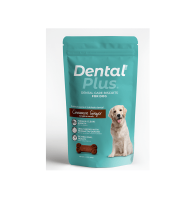 SNACK DENTAL PLUS CINNAMON & GINGER 180 GR
