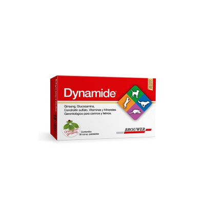 DYNAMIDE (GLUCOSAMIDA CONDROITINA VITAMINAS Y MINERALES)1