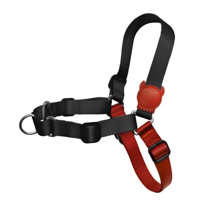 ZEEDOG FATBOY SOFT WALK HARNESS LARGE1