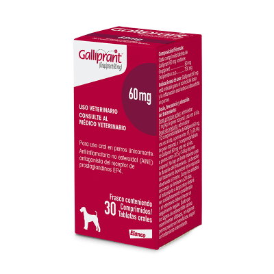 GALLIPRANT 60MG1