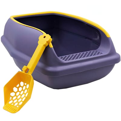 ARENERO HEY MORADO CON PALA DE PANAL1