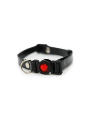 COLLAR HEY NEGRO GATO1