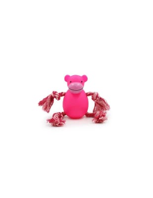 HEY! JUGUETE MONO CON CUERDA PARA PERROS