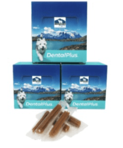 DENTAL PLUS STICK DOG TOCINO BACON