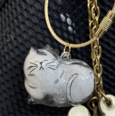 Contenedor para el cabello de mi Gato Atigrado Gris