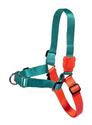 ARNES ZEEDOG TWIST SOFT WALK SMALL1