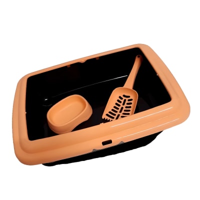 ARENERO BANDEJA CON BORDE PALA Y PLATO