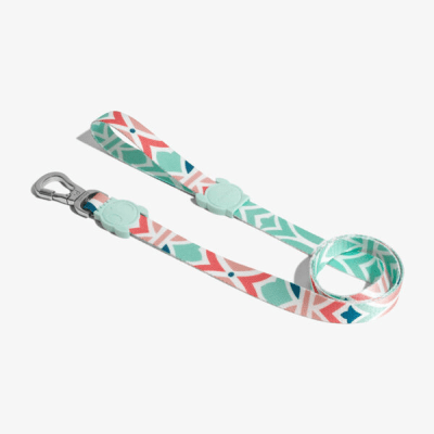 CORREA ZEEDOG MARCUCH LARGE