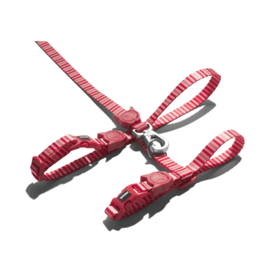 HARNES ZEECAT PEPPERMINT SET1