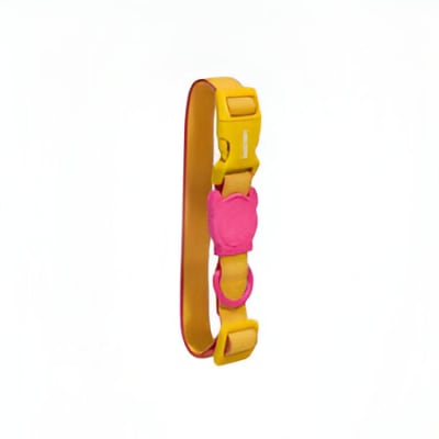 COLLAR ZEECAT NEOPRO LYRA