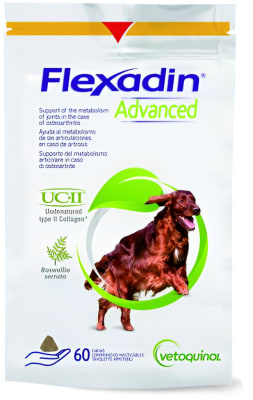 FLEXADIN ADVANCED 60 UND1