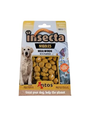 SNACK INSECTA ANTOS GUSANO DE ARINA Y CALABAZA 100 GRS