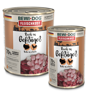 LATA BEWIDOG RICO EN AVE 400 grs y 800 grs