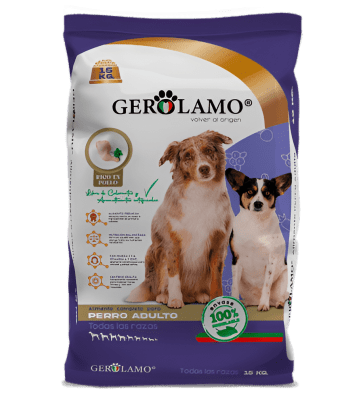 GEROLAMO DOG DOG ADULT ALL BREEDS