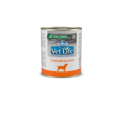 LATA VETLIFE DOG CONVALESCENCE 300GR1