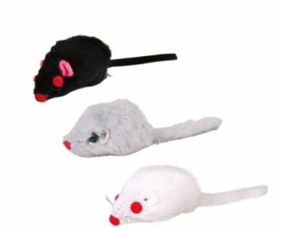 RATON CON CATNIP