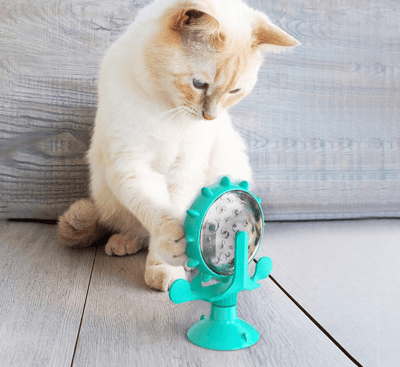 JUGUETE GATO RUEDA MUNDO MASCOTA