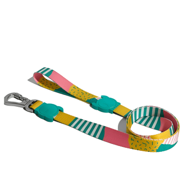 CORREA  ZEEDOG SALINA SMALL