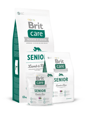 BRIT CARE DOG SENIOR LAMB RICE 3 Y 12KG