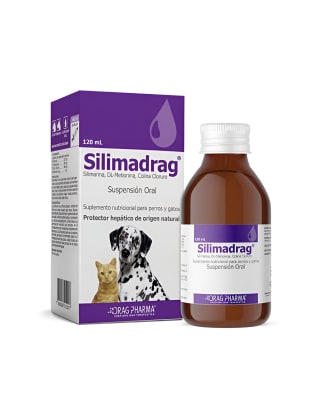 SILIMADRAG SUSP ORAL 120ML