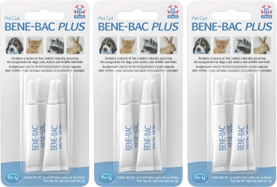 BENEBAC GEL 1GR 4GR PROBIOTICO