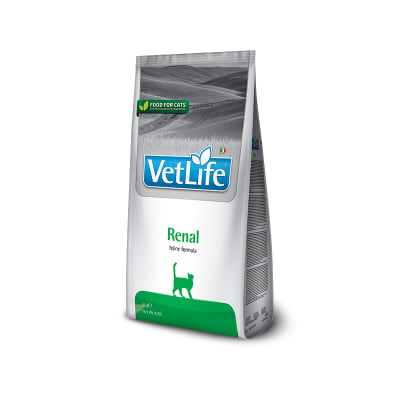VETLIFE CAT RENAL 400GR1