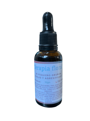 Terapia Floral Enojo y Agresividad