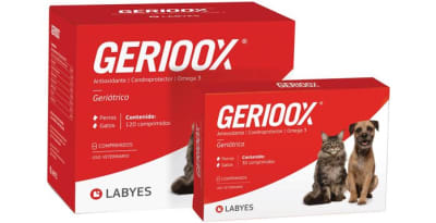 GERIOOX 30COMP