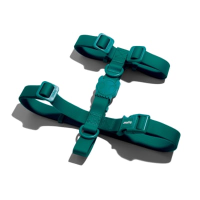 ARNES ZEEDOG NEOPRO AMAZONIA LARGE