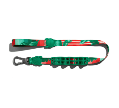 LEASH ZEEDOG BALI RUFF LARGE