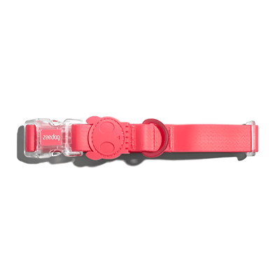 COLLAR ZEEDOG NEOPRO BUBBLEGUM LARGE1