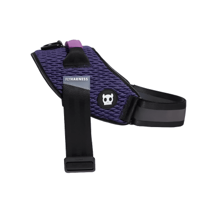 ARNES ZEEDOG WICKED FLYHARNESS SIZE 2