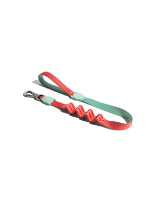 CORREA ZEEDOG ZAHARA RUFF LEASH SMALL1