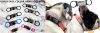 collection steel pet id placa de identificacion