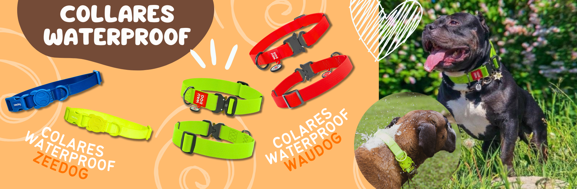 Zeedog  - Waudog - Collares Waterproof