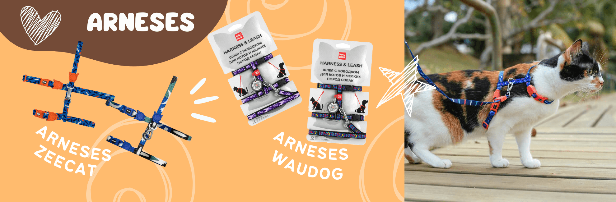 Arneses gatos