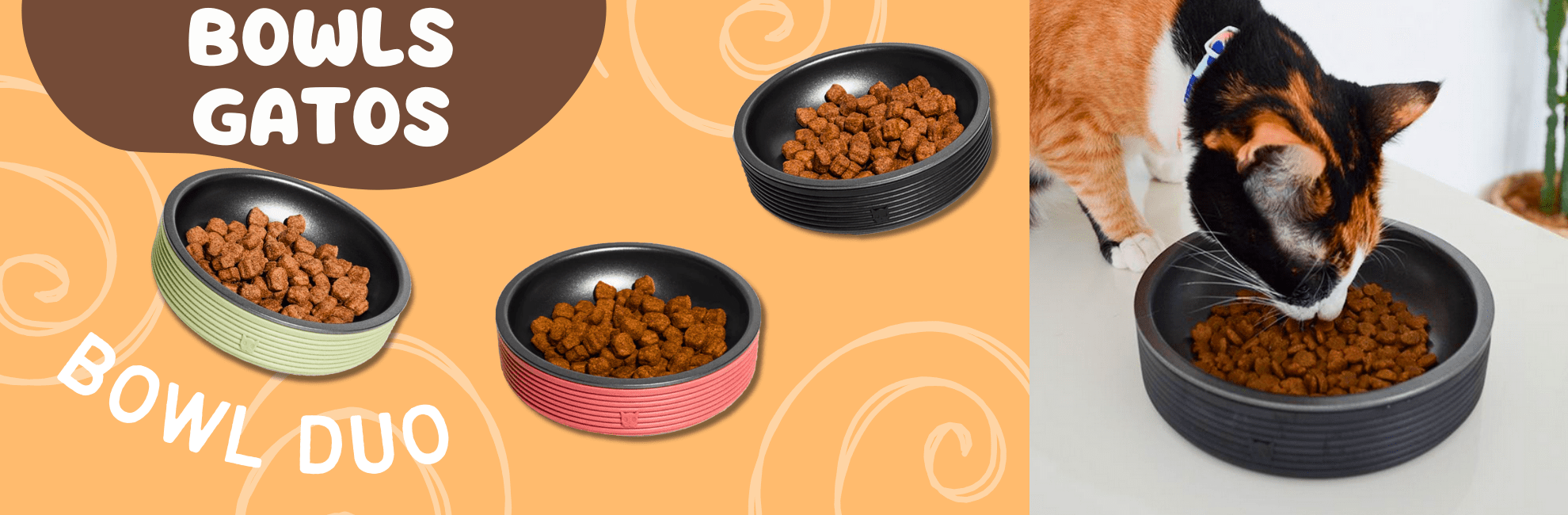 Bowls gatos