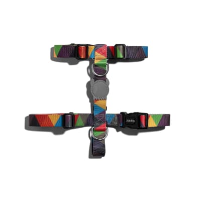 ZEEDOG ARNES STARDUST